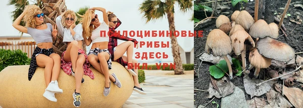 мяу мяу мука Армянск