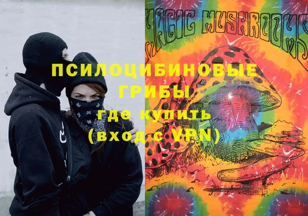 ALPHA PVP Ростов
