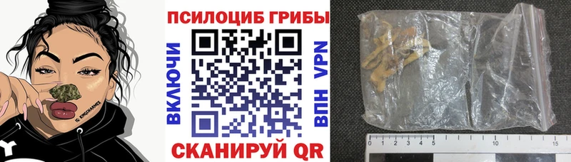 OMG как зайти  Верхний Тагил  Псилоцибиновые грибы Magic Shrooms 